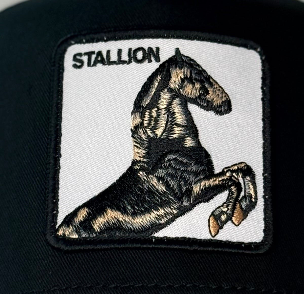 Goorin Bros Stallion Patch Trucker Snapback Hat – Black Mesh Adjustable Cap