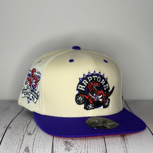 Mitchell & Ness Toronto Raptors Hardwood Classics Fitted Hat