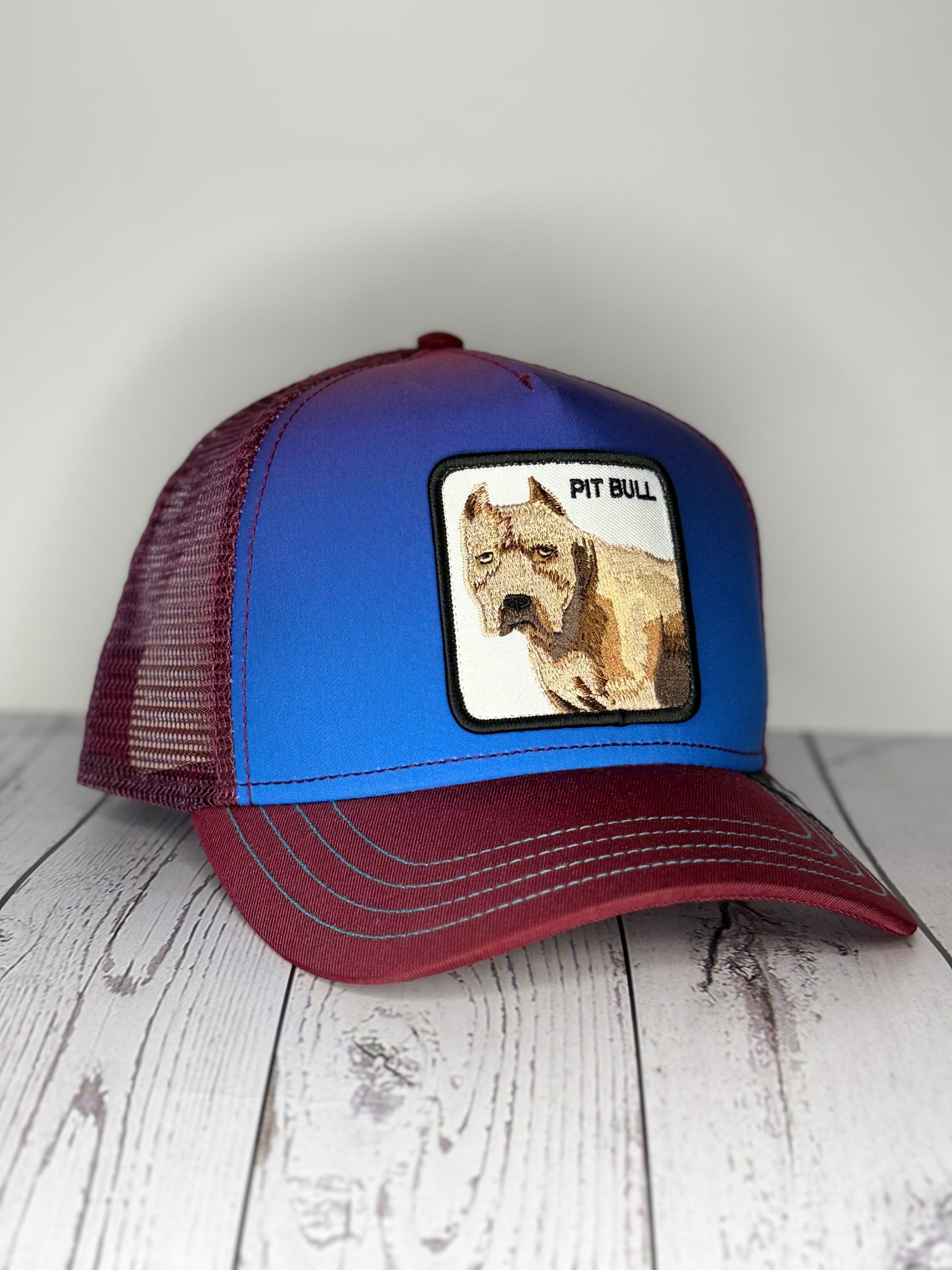 Goorin Bros Pit Bull blue burgundy trucker hat angled front view