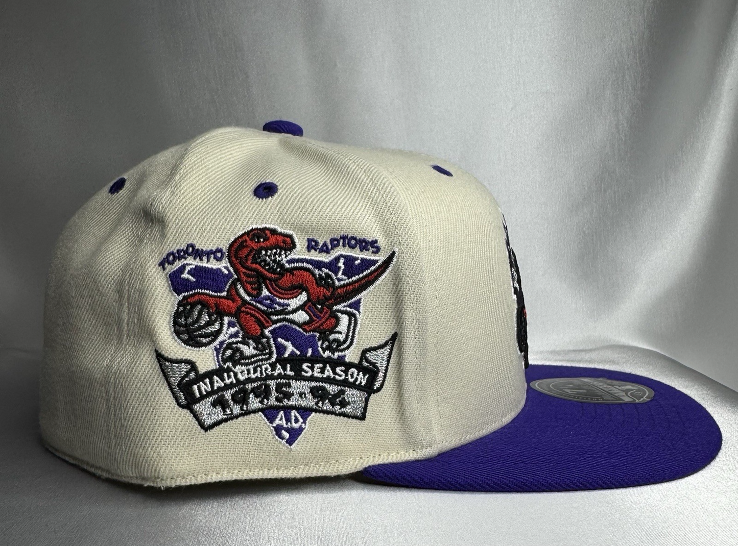 Mitchell & Ness Toronto Raptors Hardwood Classics Fitted 7 1/4