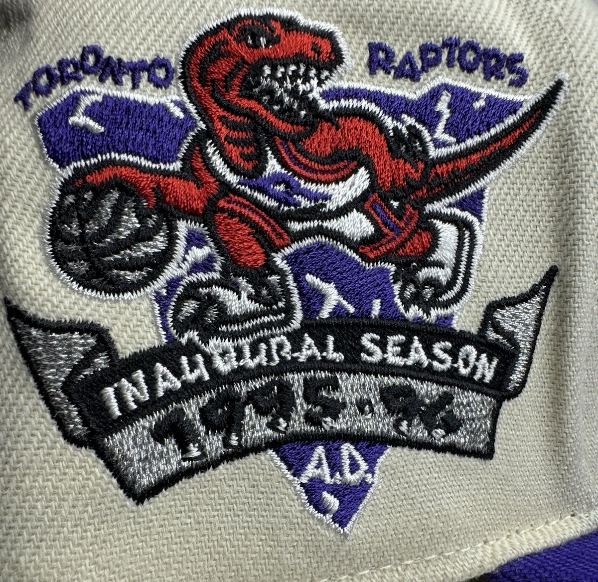 Mitchell & Ness Toronto Raptors Hardwood Classics Fitted 7 1/4