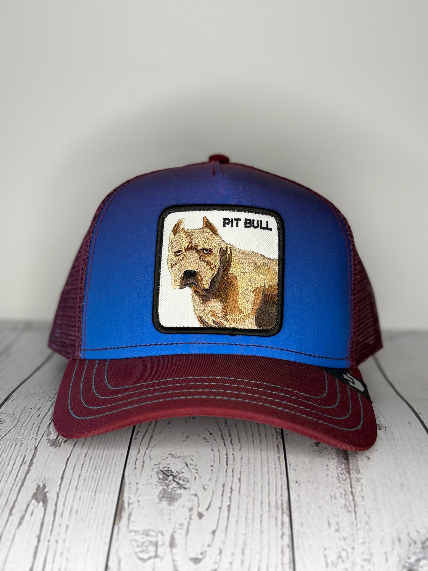 Goorin Bros Pit Bull blue burgundy trucker hat front view
