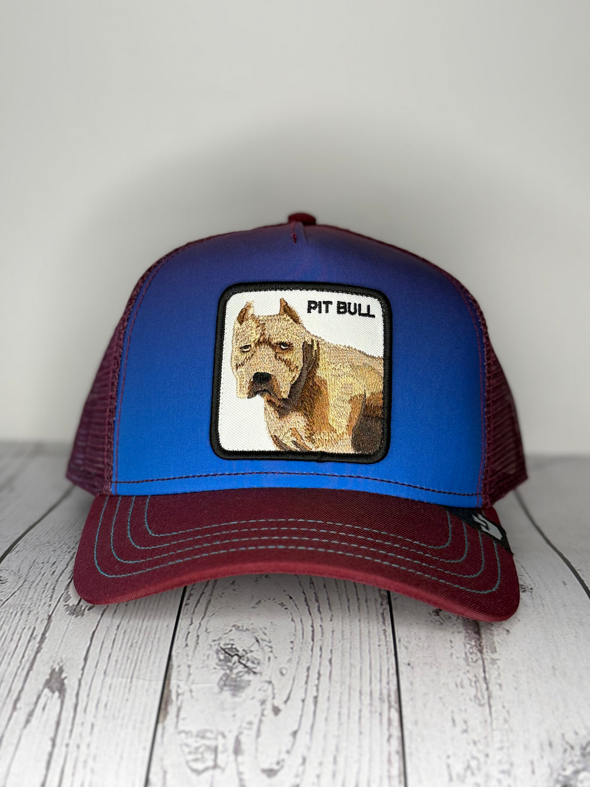 Goorin Bros Pit Bull blue burgundy trucker hat front view