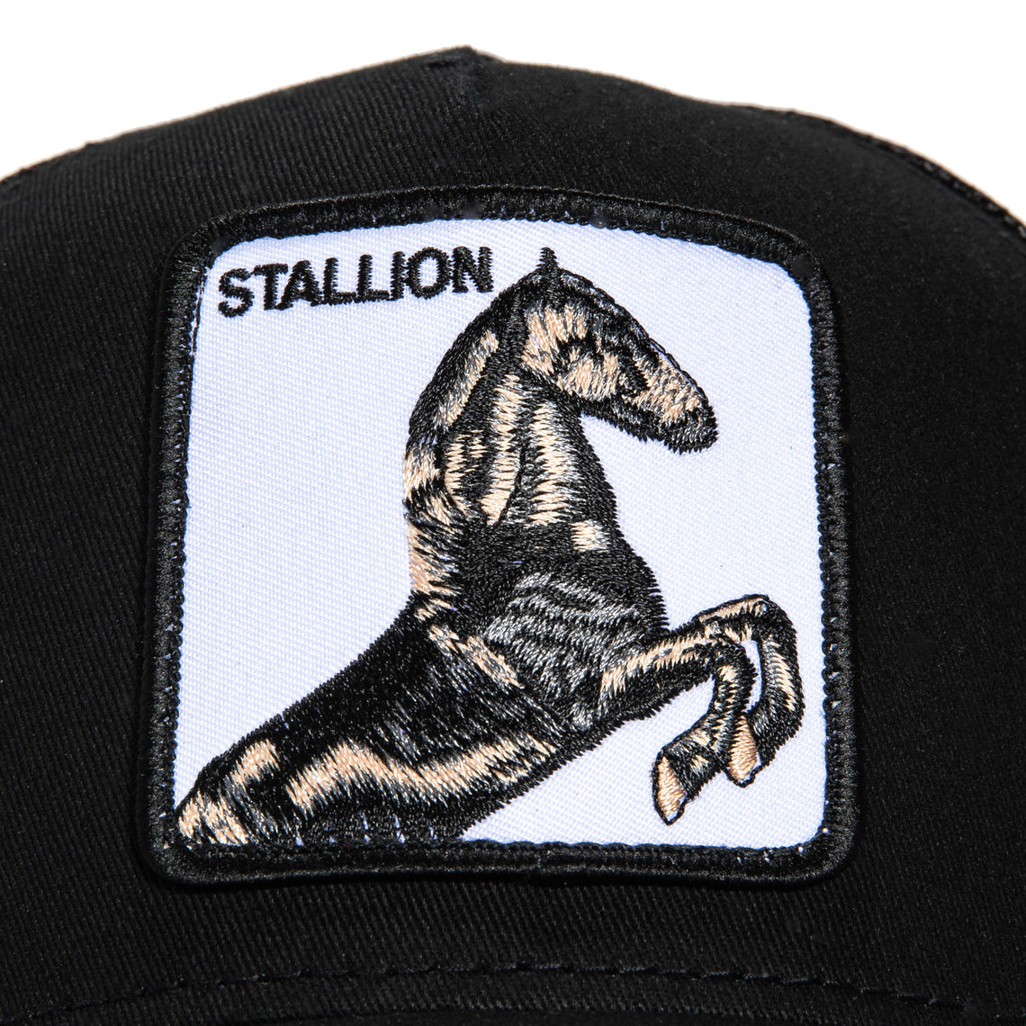 Goorin Bros Stallion Adjustable Trucker Snapback Hat - Black