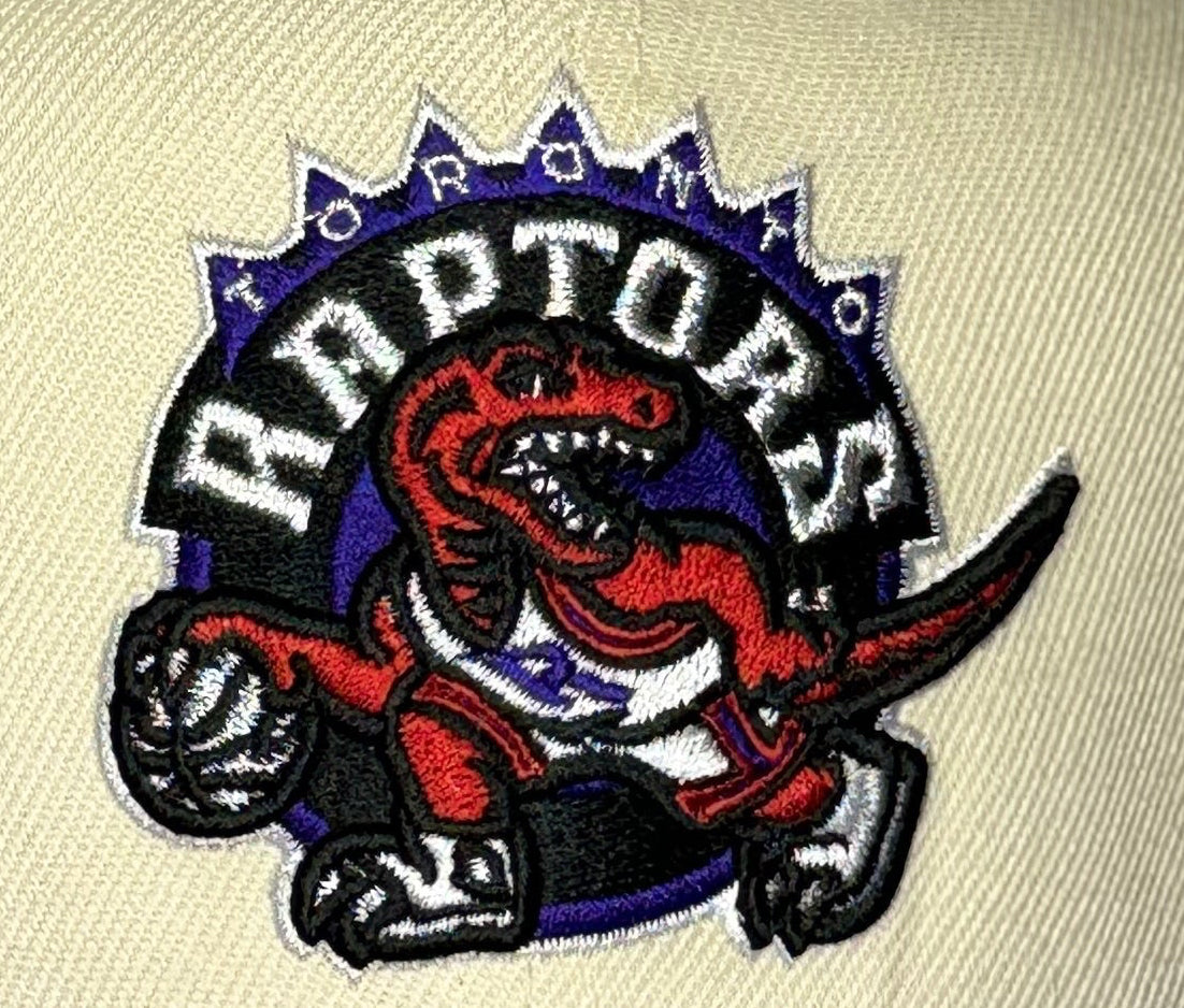 Mitchell & Ness Toronto Raptors Hardwood Classics Fitted Hat