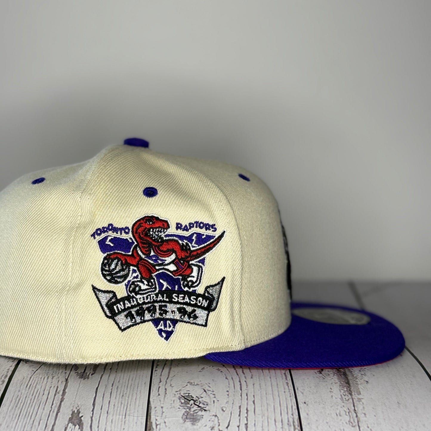 Mitchell & Ness Toronto Raptors Hardwood Classics Fitted Hat