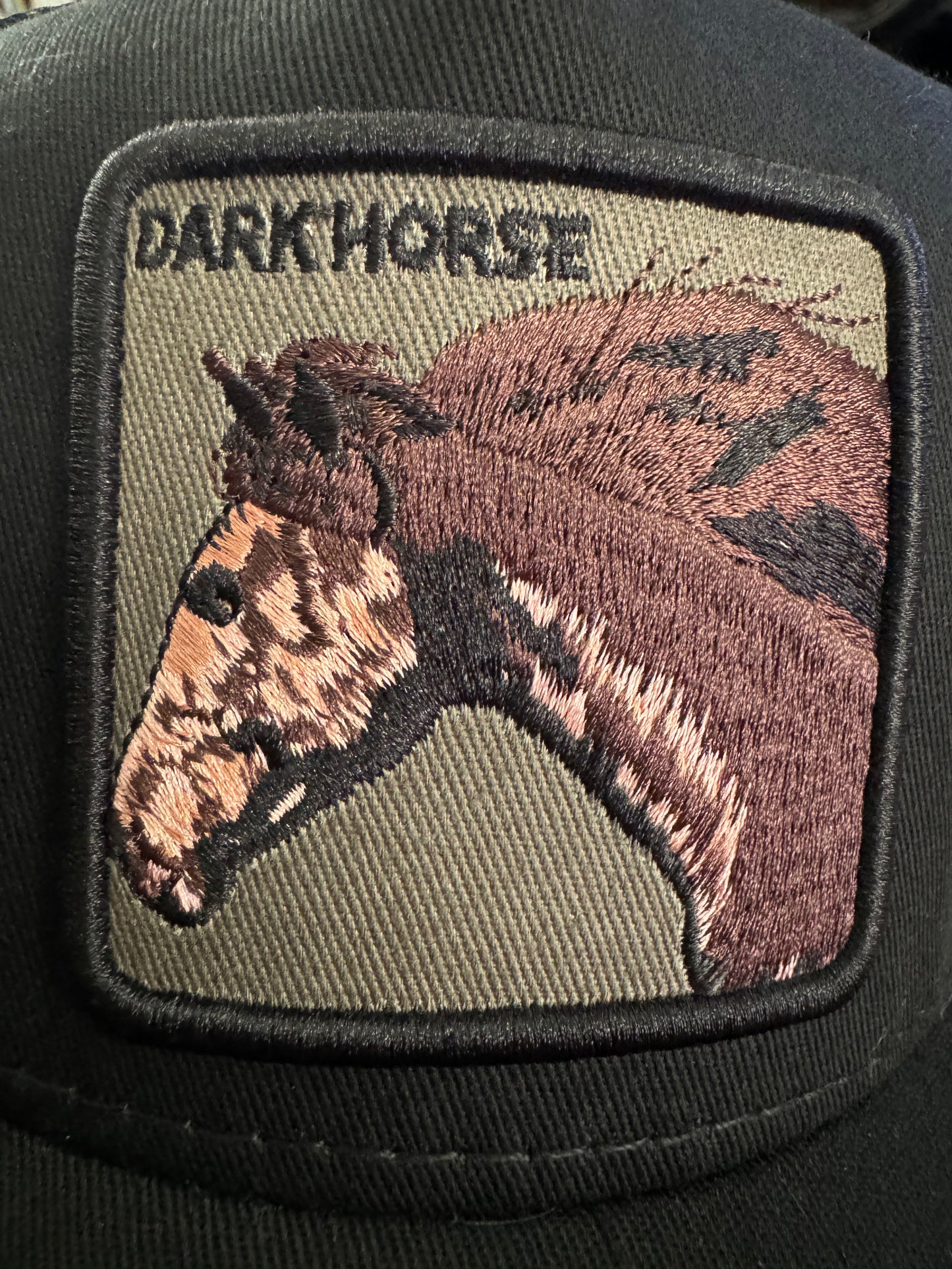 Goorin Bros Dark Horse