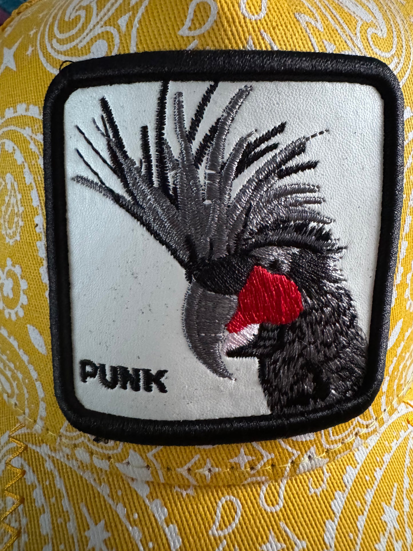 Goorin Bros Punk Magpie