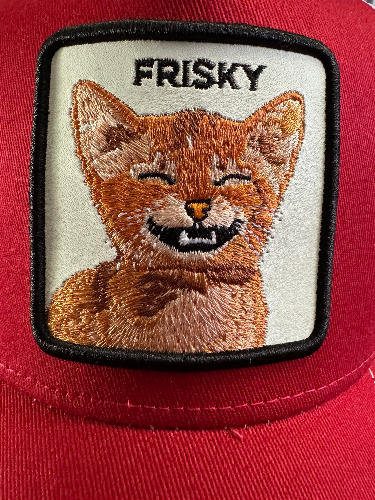 Goorin Bros Frisky Cat