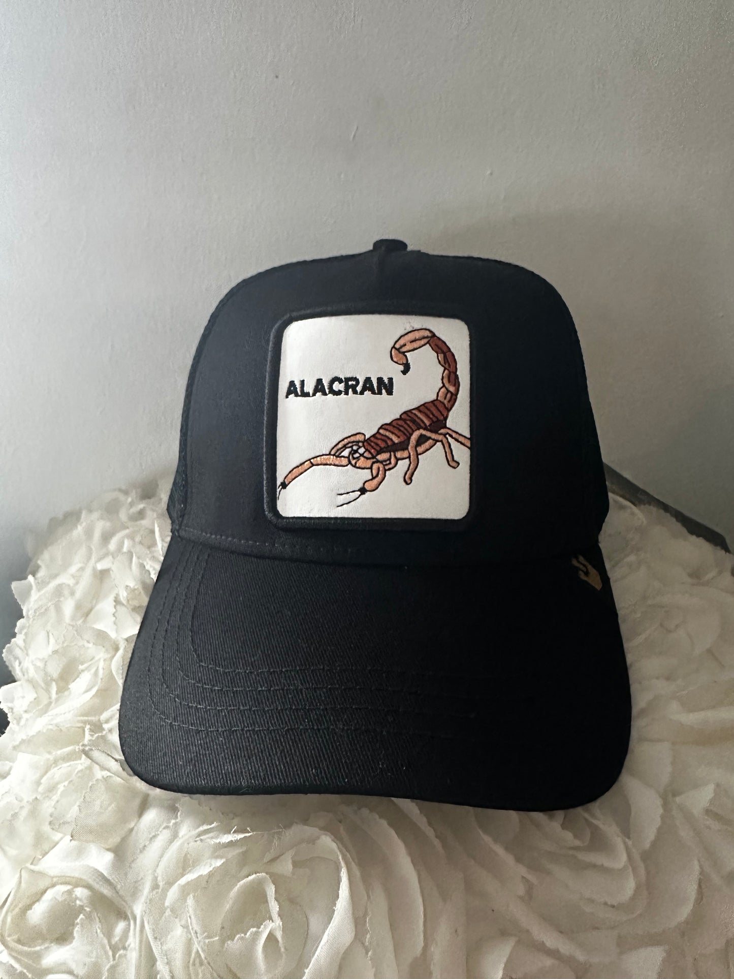 Goorin Bros Alacran Black