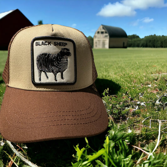 Goorin Bros Black Sheep - ExclusiveCrowns