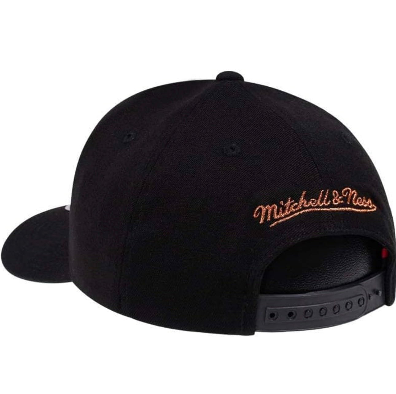 Mitchell & Ness Toronto Raptors Adjustable Hat - ExclusiveCrowns