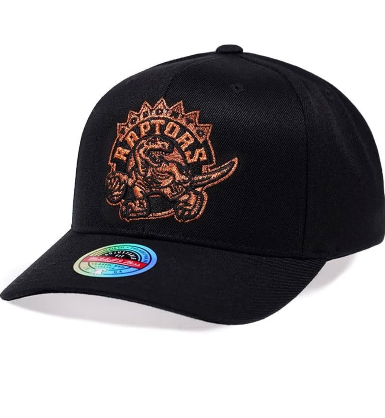 Mitchell & Ness Toronto Raptors Adjustable Hat - ExclusiveCrowns